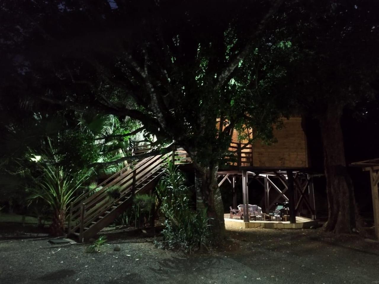 Gite Du Manial "Cabane Du Sentier Des Etoiles" Pointe-Noire Exterior photo