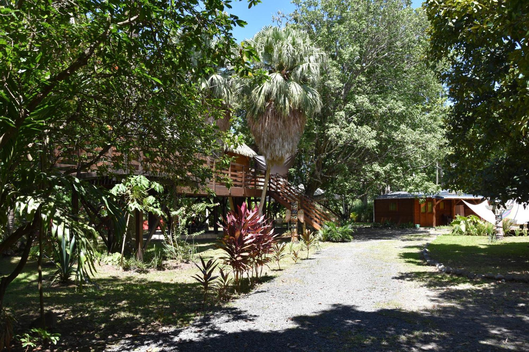 Gite Du Manial "Cabane Du Sentier Des Etoiles" Pointe-Noire Exterior photo