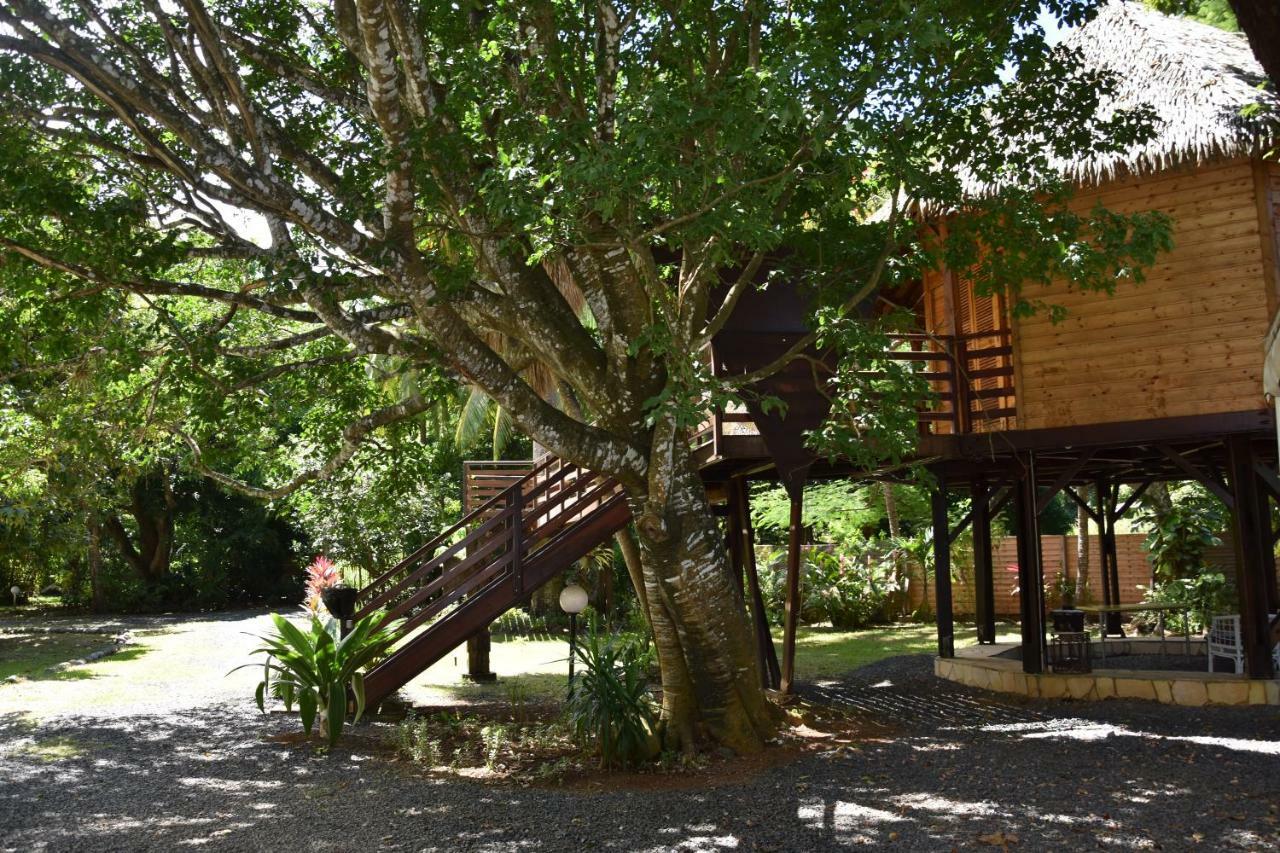 Gite Du Manial "Cabane Du Sentier Des Etoiles" Pointe-Noire Exterior photo